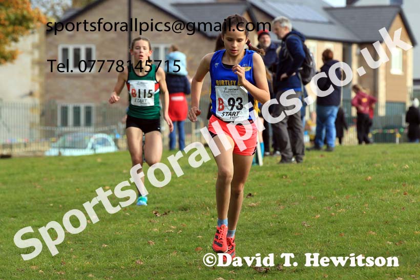 Girls under-13s 2022 Northern Cross Country Relays, Graves Park, Sheffield. Photo: David T. Hewitson/Sports for All Pics